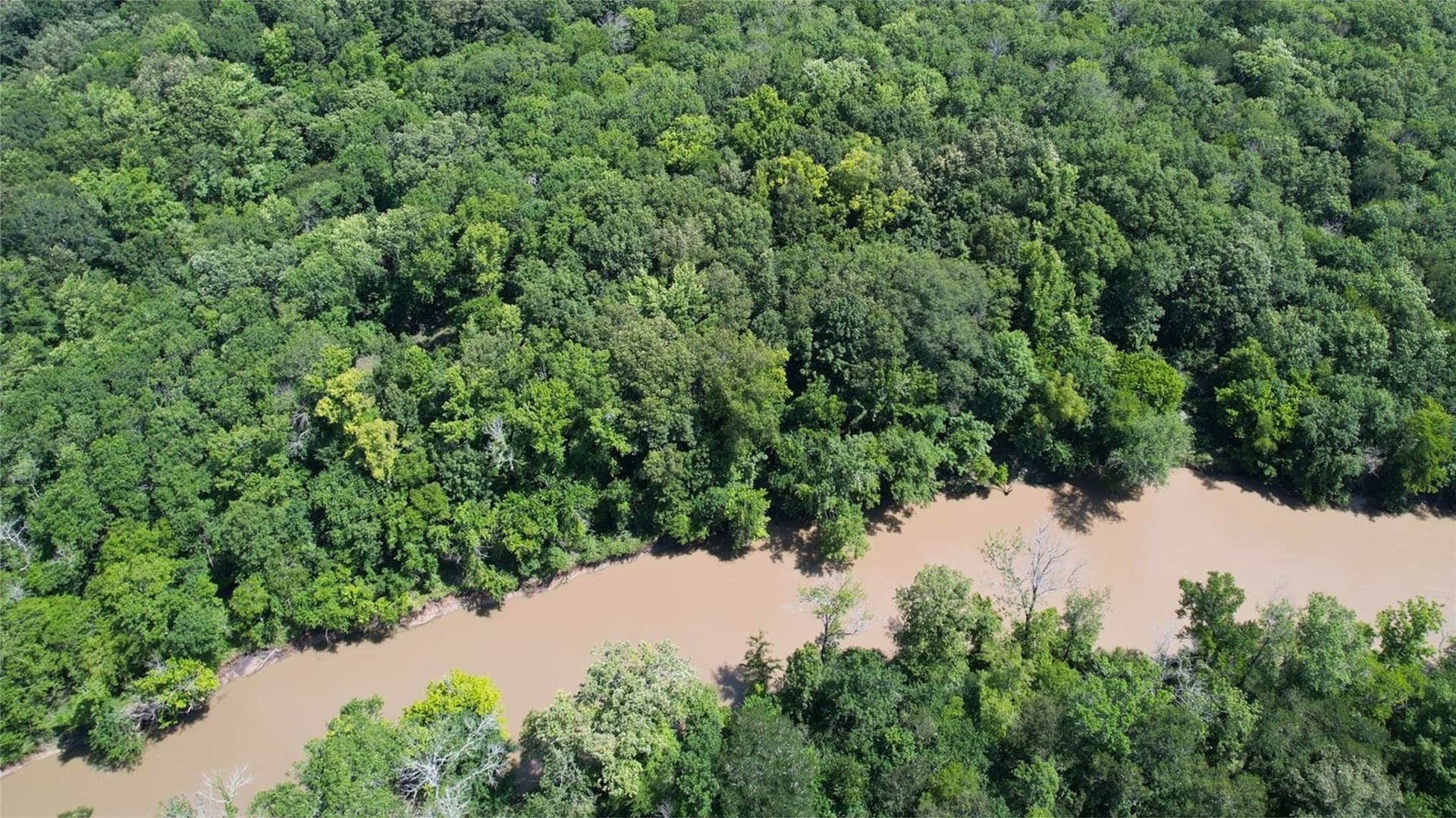 55.97 acres in Red River (TX) County - photo 5