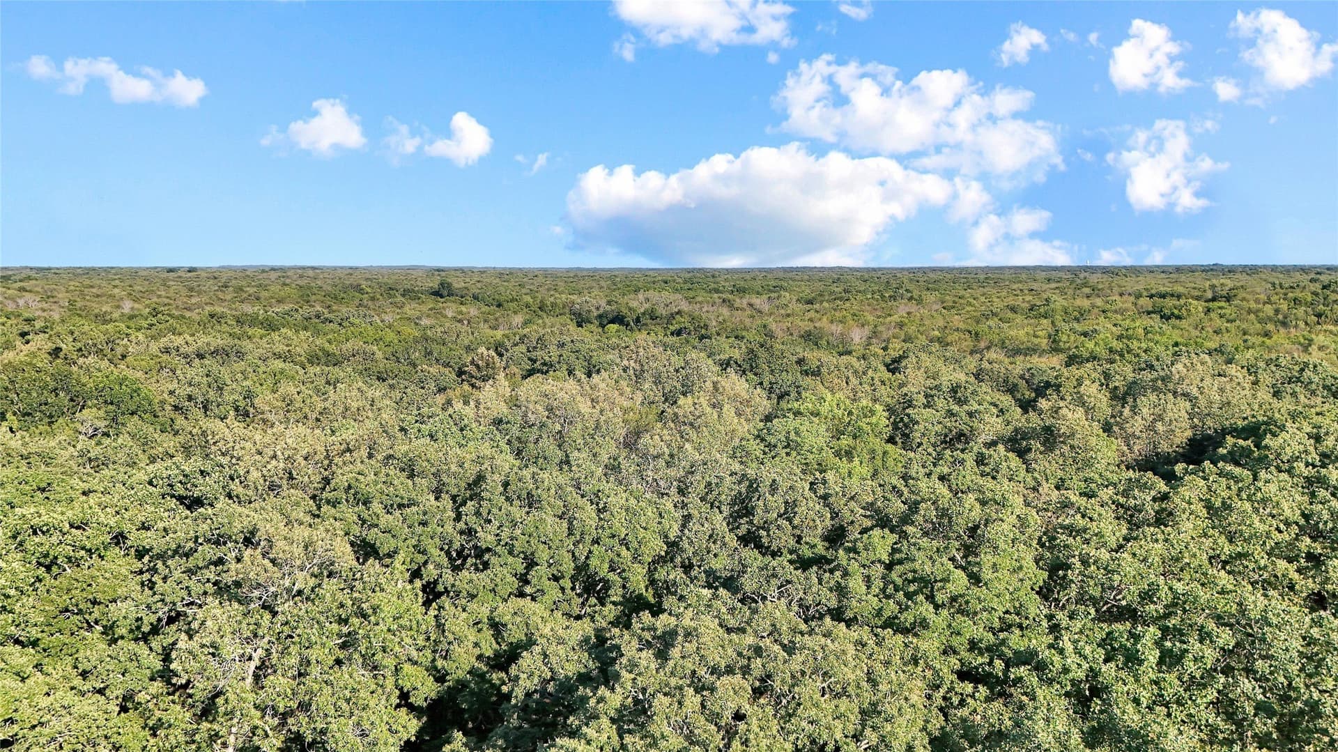 55.97 acres in Red River (TX) County - photo 7