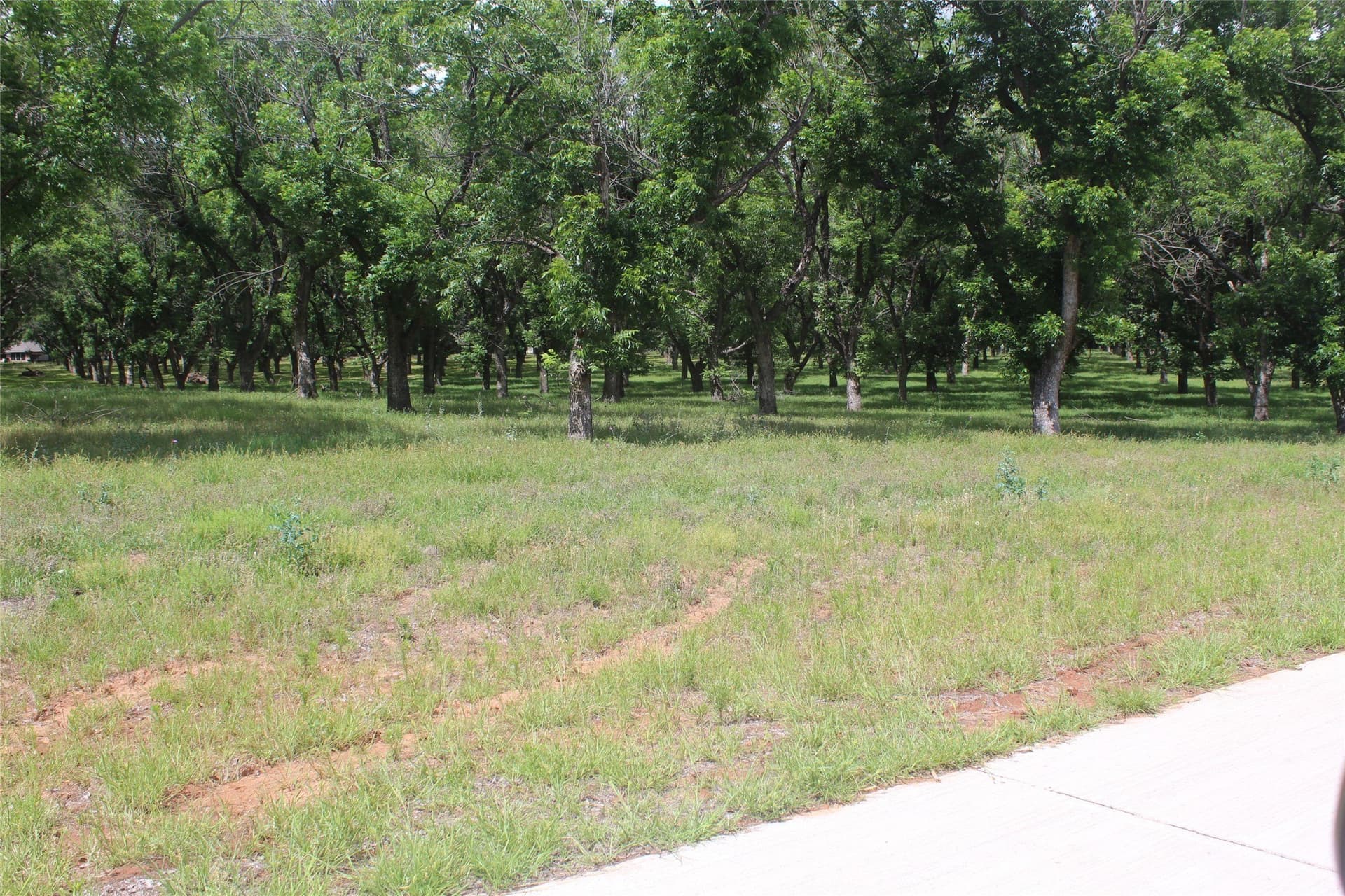 6.29 acres in Johnson County - photo 6