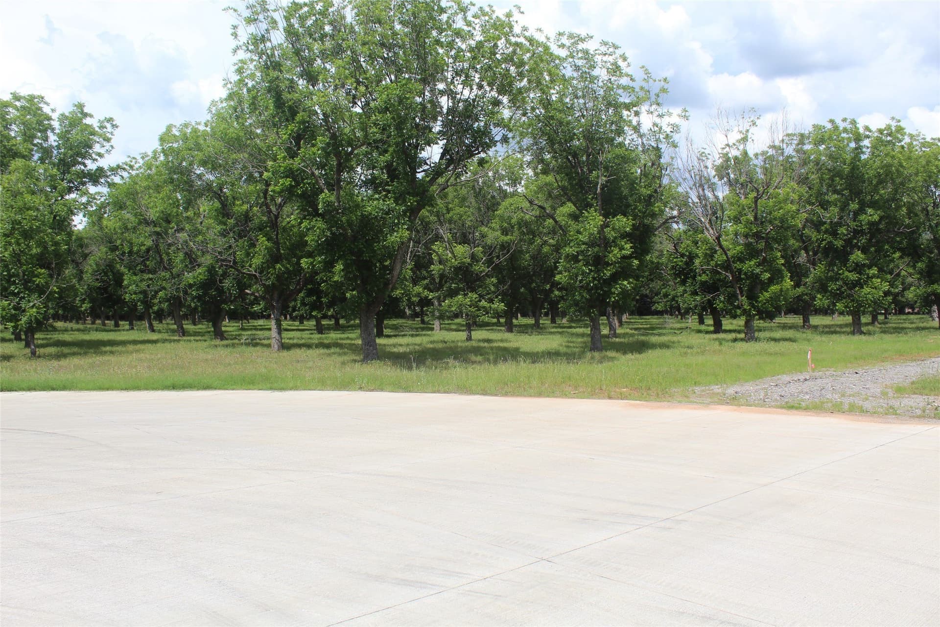 6.29 acres in Johnson County - photo 5