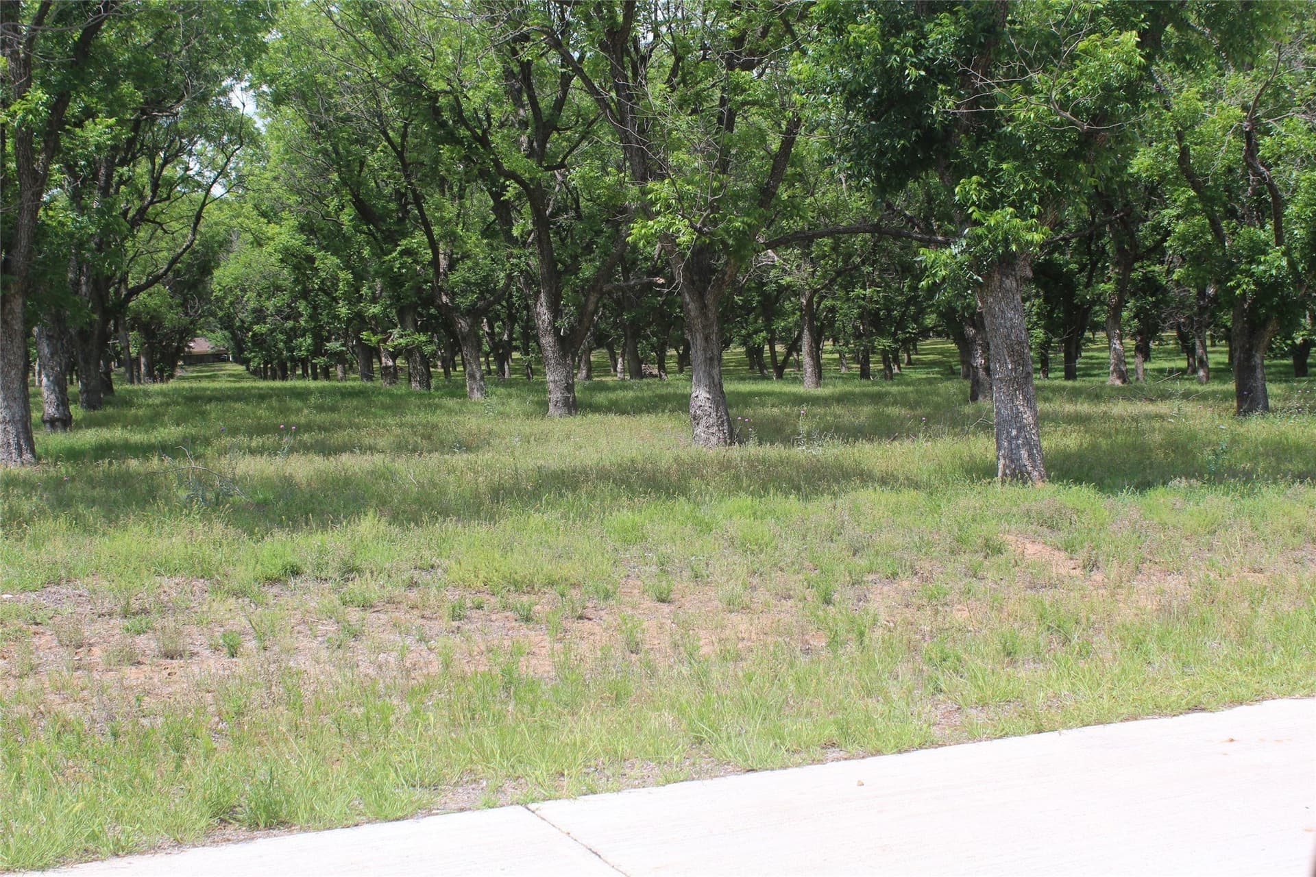 6.29 acres in Johnson County - photo 7