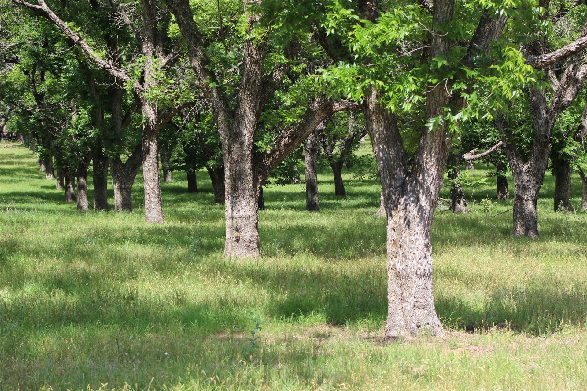 6.29 acres in Johnson County - photo 4