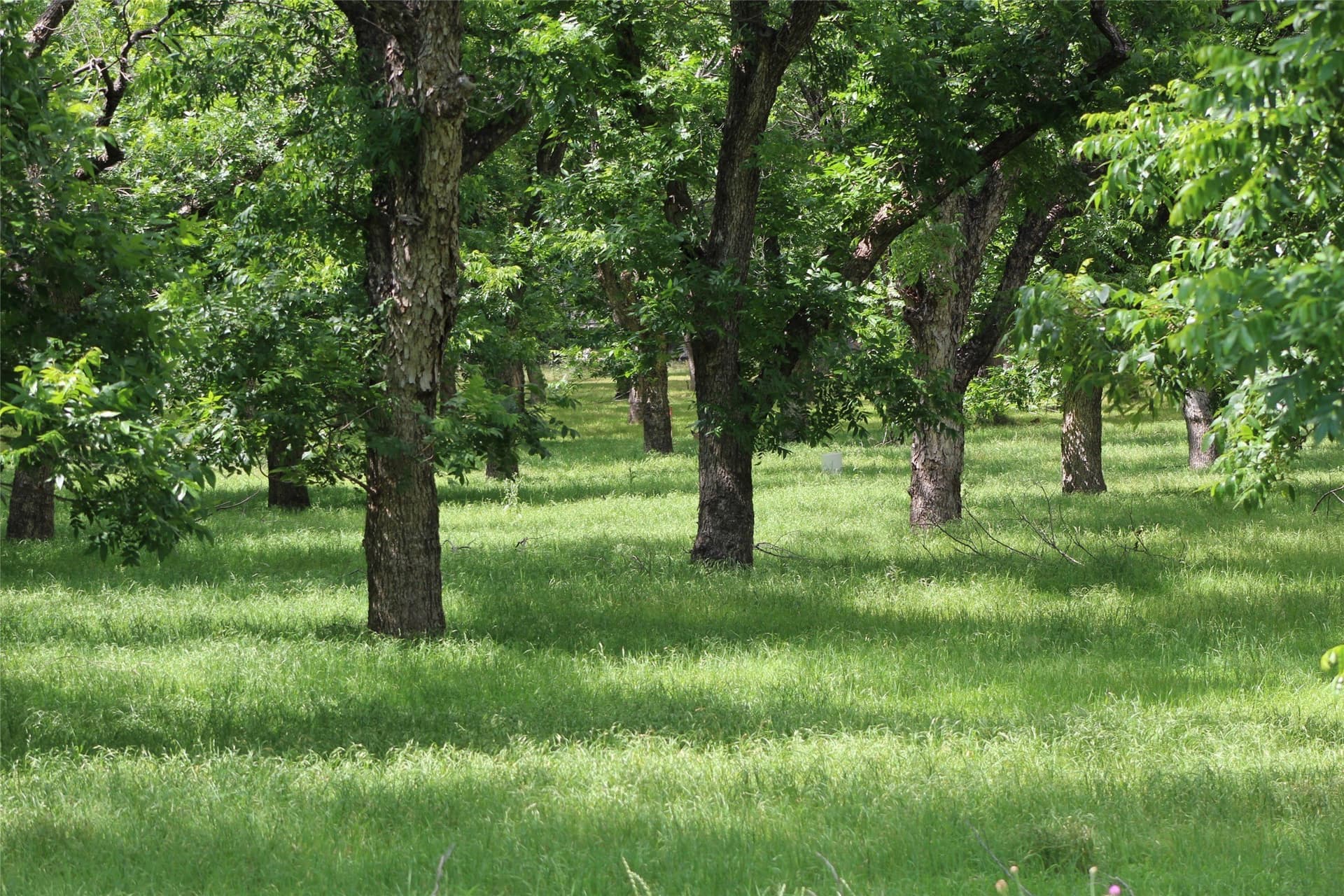 6.29 acres in Johnson County - photo 2