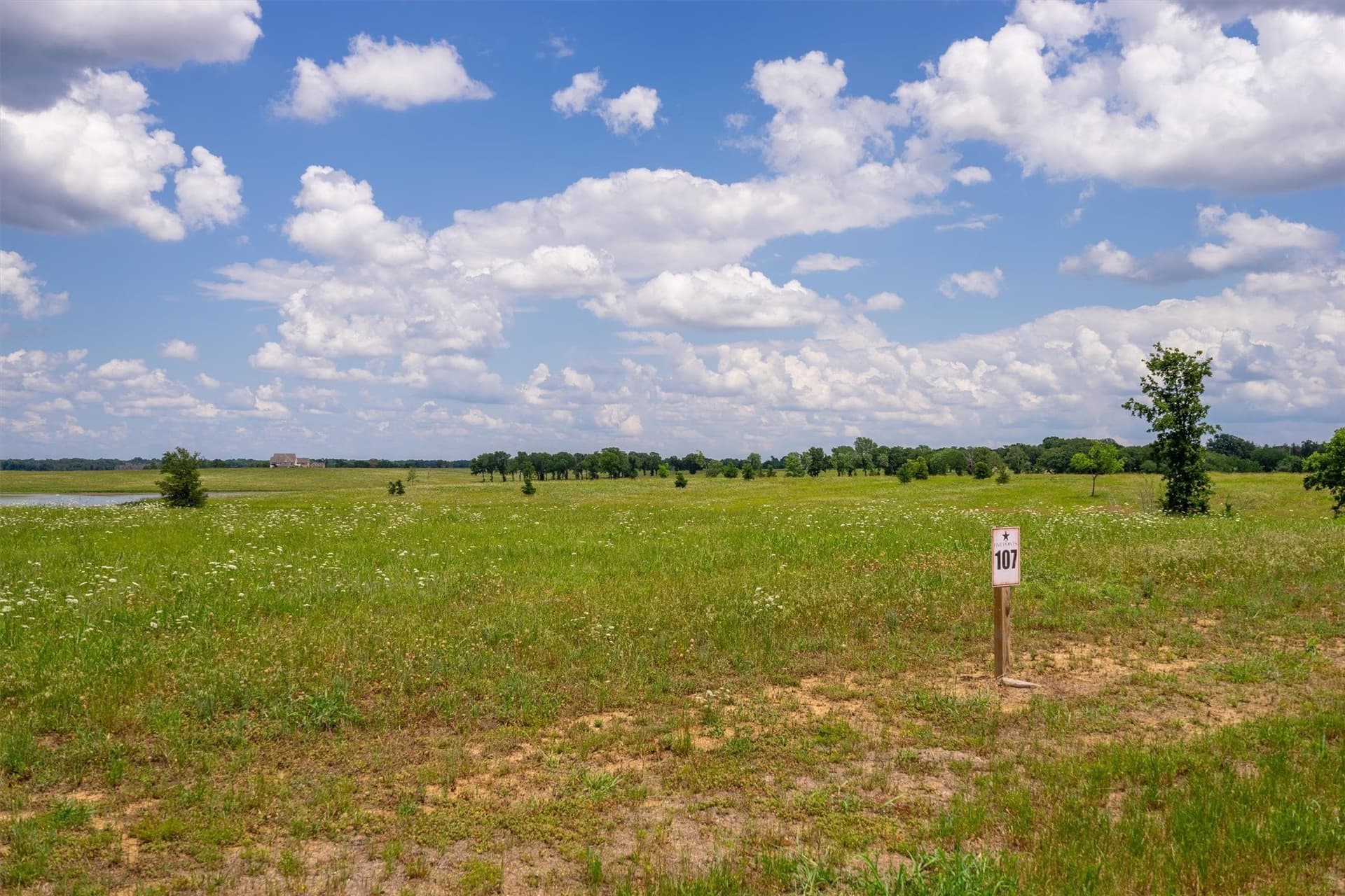 1.3 acres in Fannin County - photo 9