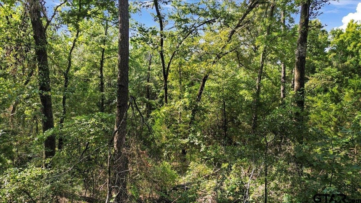 10.98 acres in Upshur County - photo 12