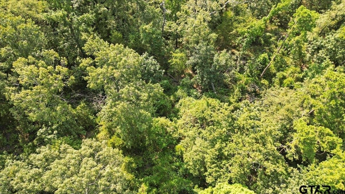 10.98 acres in Upshur County - photo 11