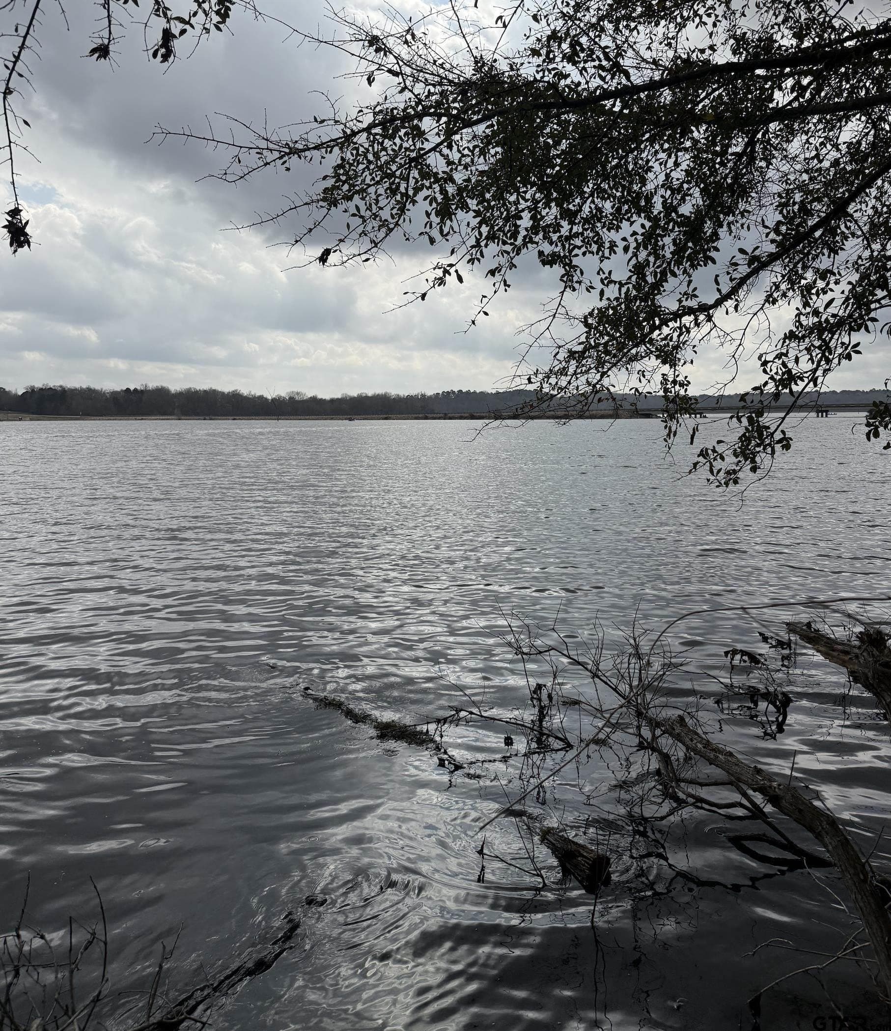 10.98 acres in Upshur County - photo 14