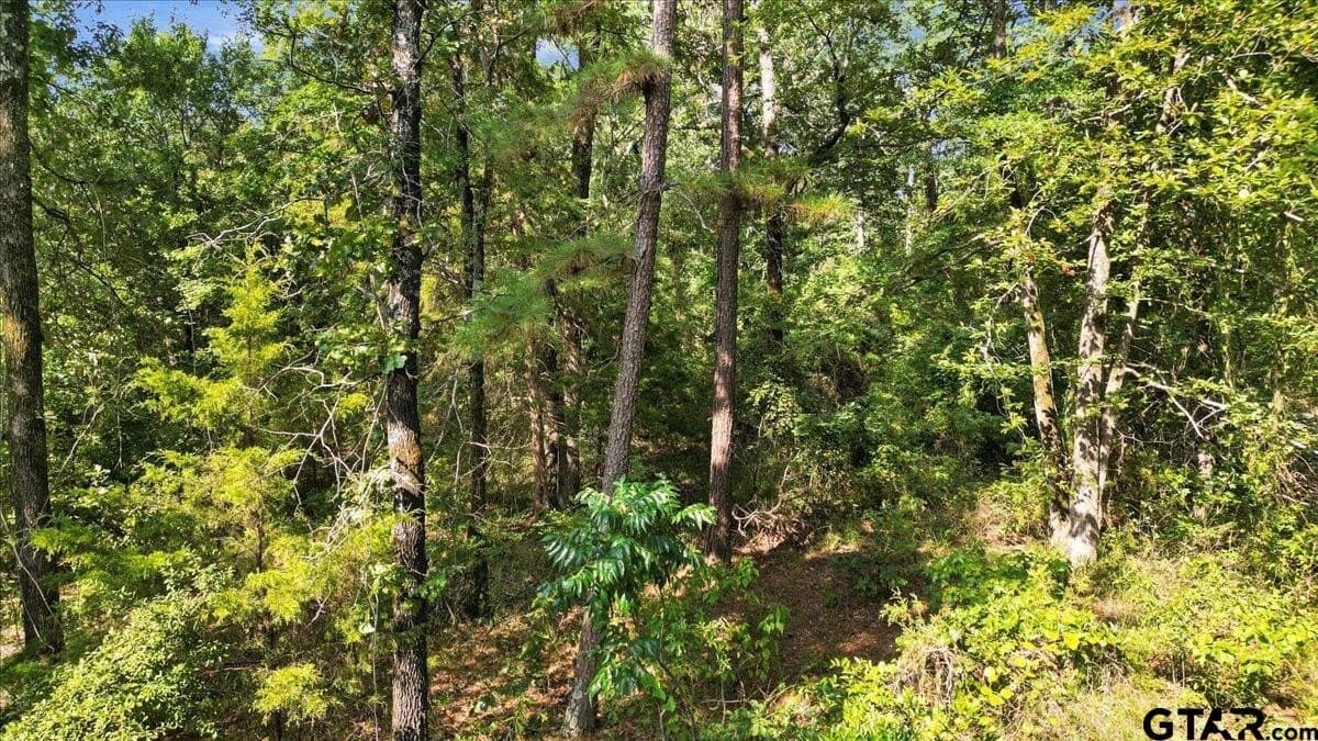 10.98 acres in Upshur County - photo 13