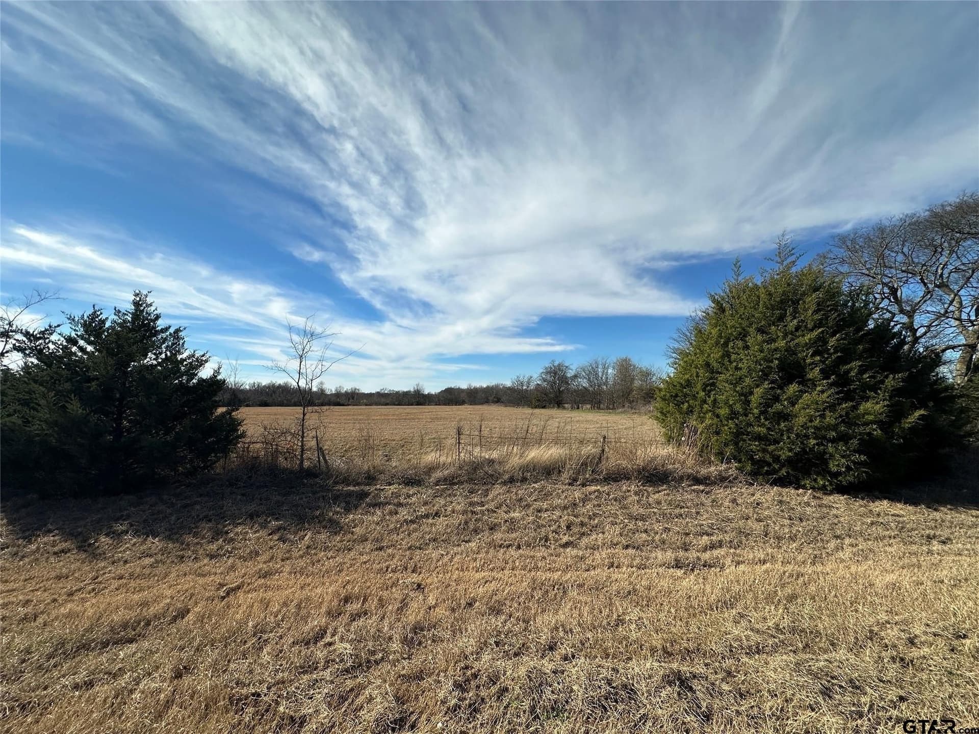 10 acres in Hopkins County - photo 6