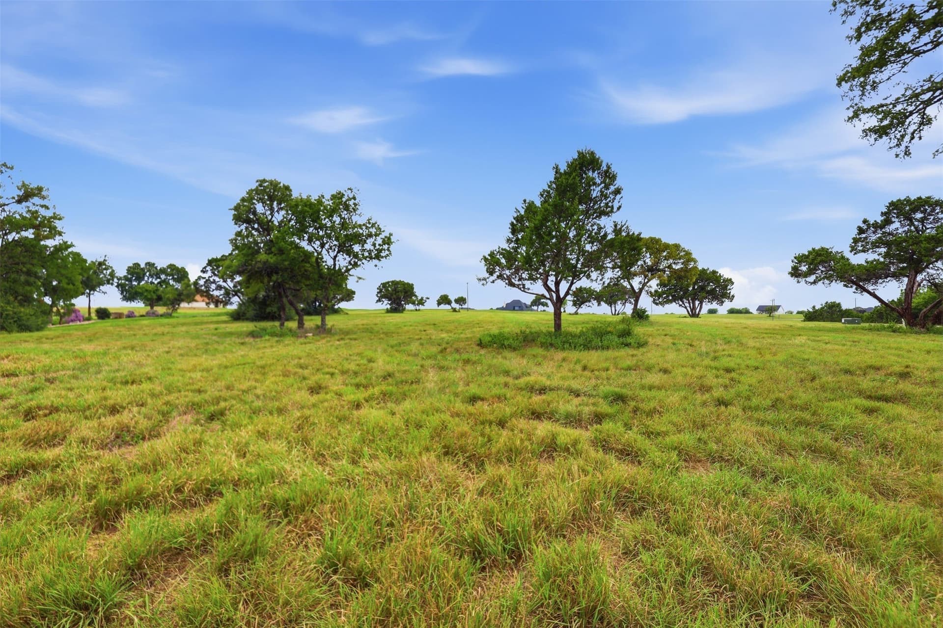 0.29 acres in Johnson County - photo 9