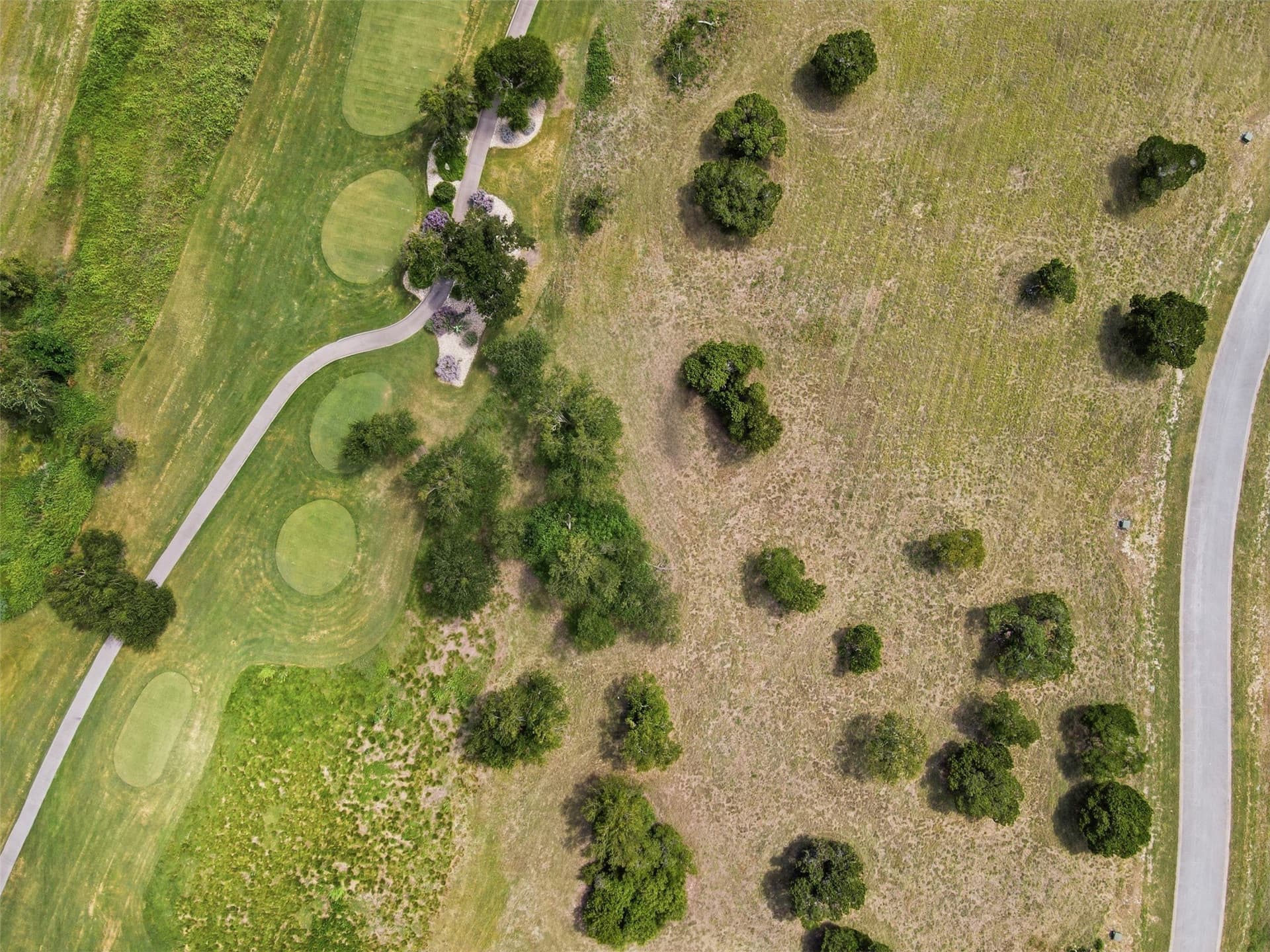 0.29 acres in Johnson County - photo 17