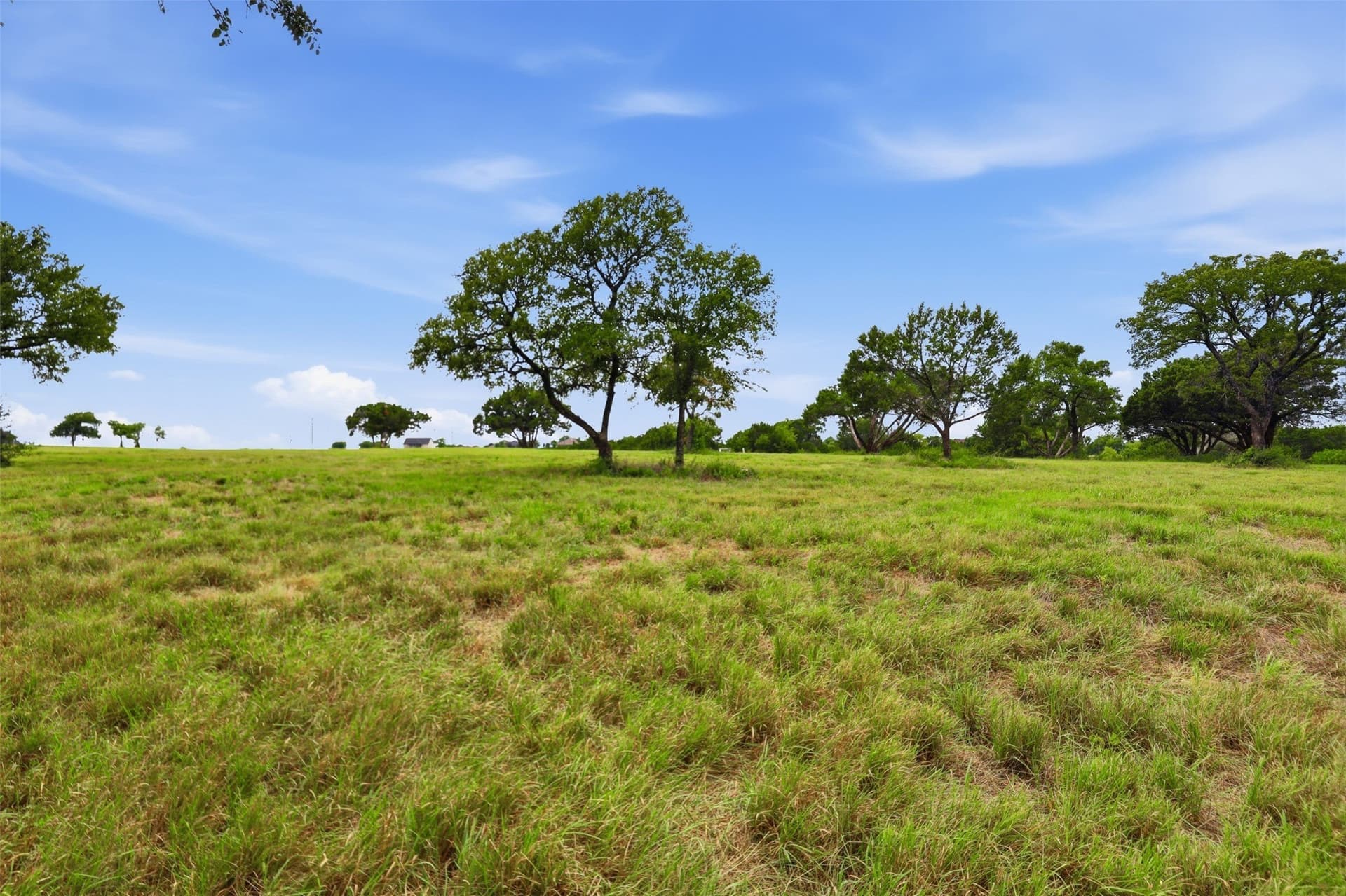 0.29 acres in Johnson County - photo 7