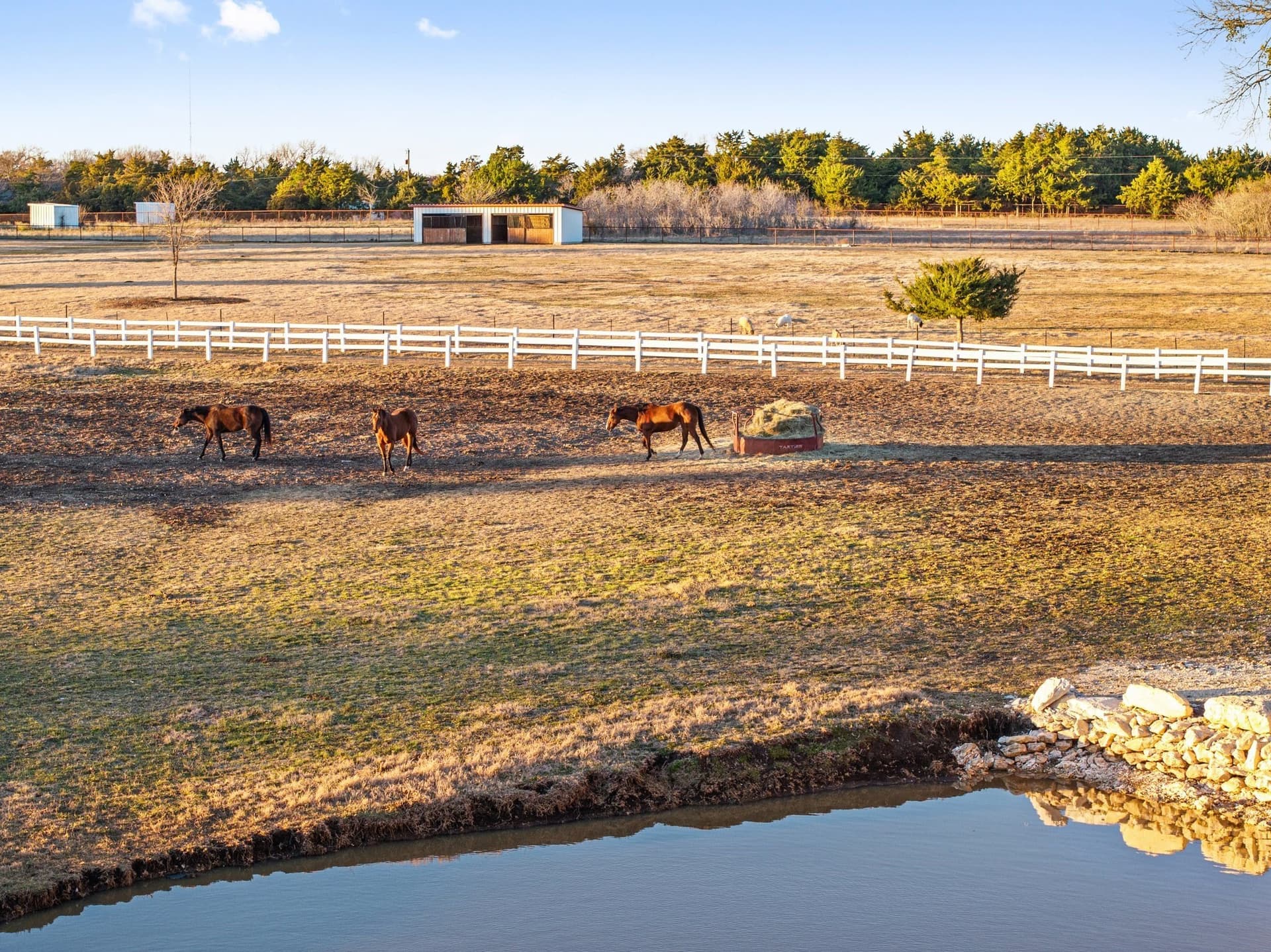 15.72 acres in Dallas County - photo 16