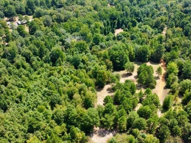 11.97 acres in Cass County - photo 9