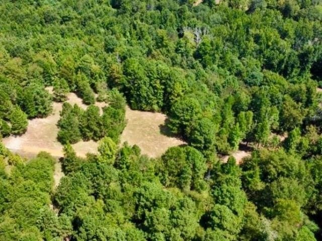 11.97 acres in Cass County - photo 10