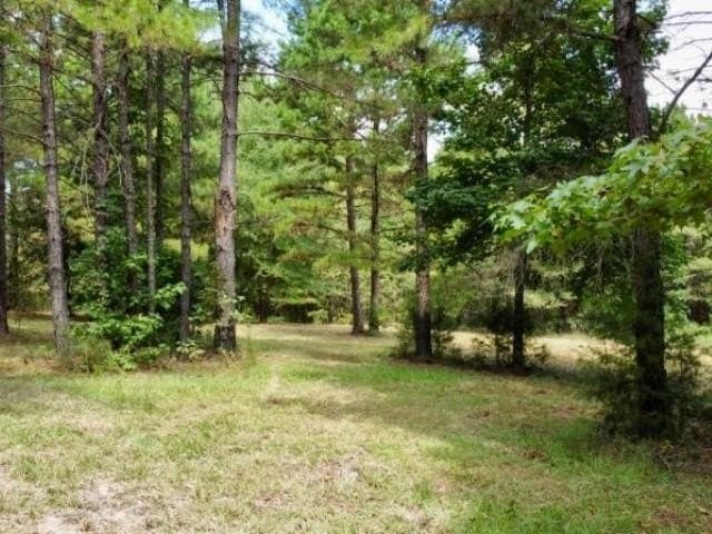 11.97 acres in Cass County - photo 7