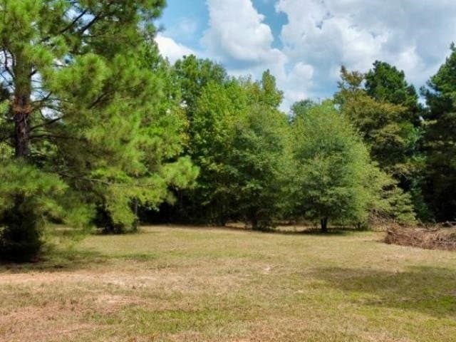 11.97 acres in Cass County - photo 6