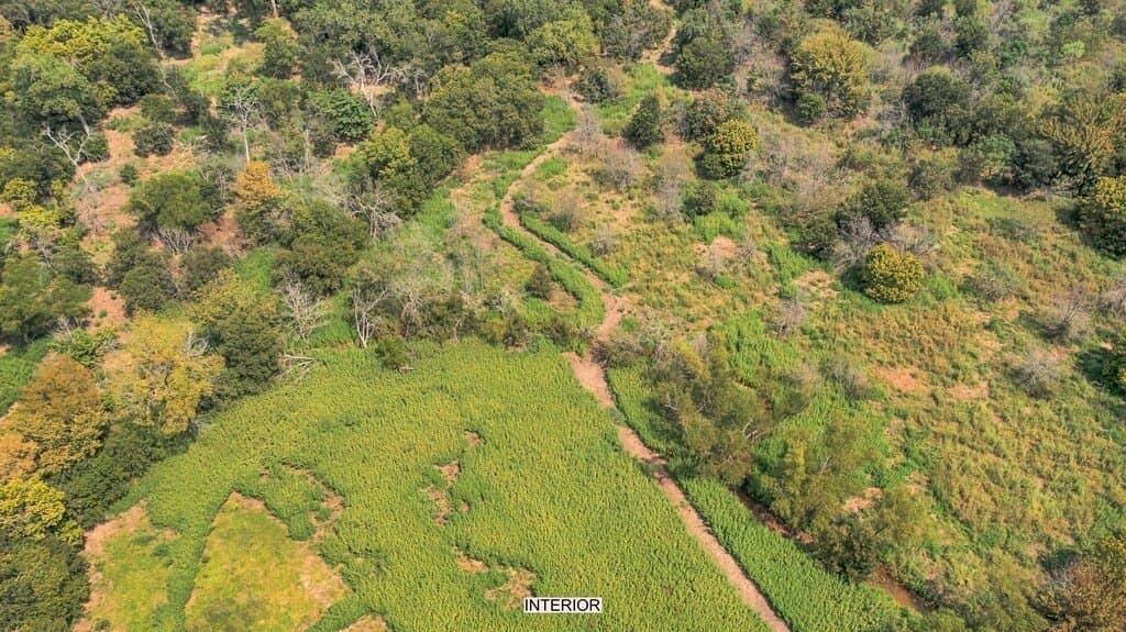 36.13 acres in McLennan County - photo 17