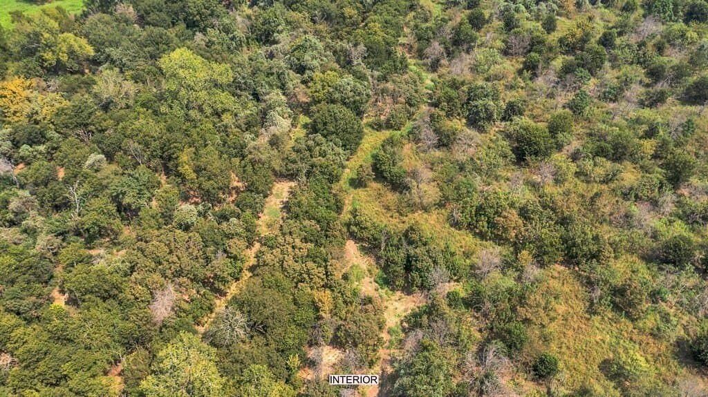 36.13 acres in McLennan County - photo 18