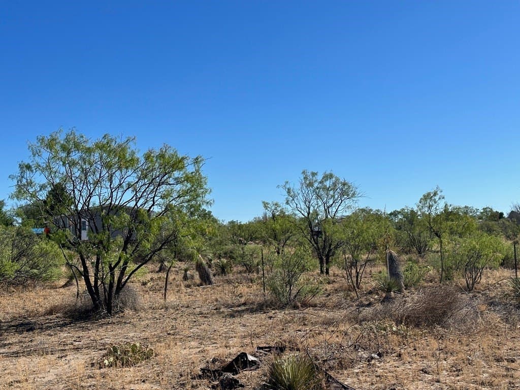 0.8 acres in Presidio County gallery image 3