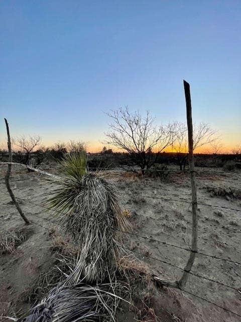 0.8 acres in Presidio County gallery image 4