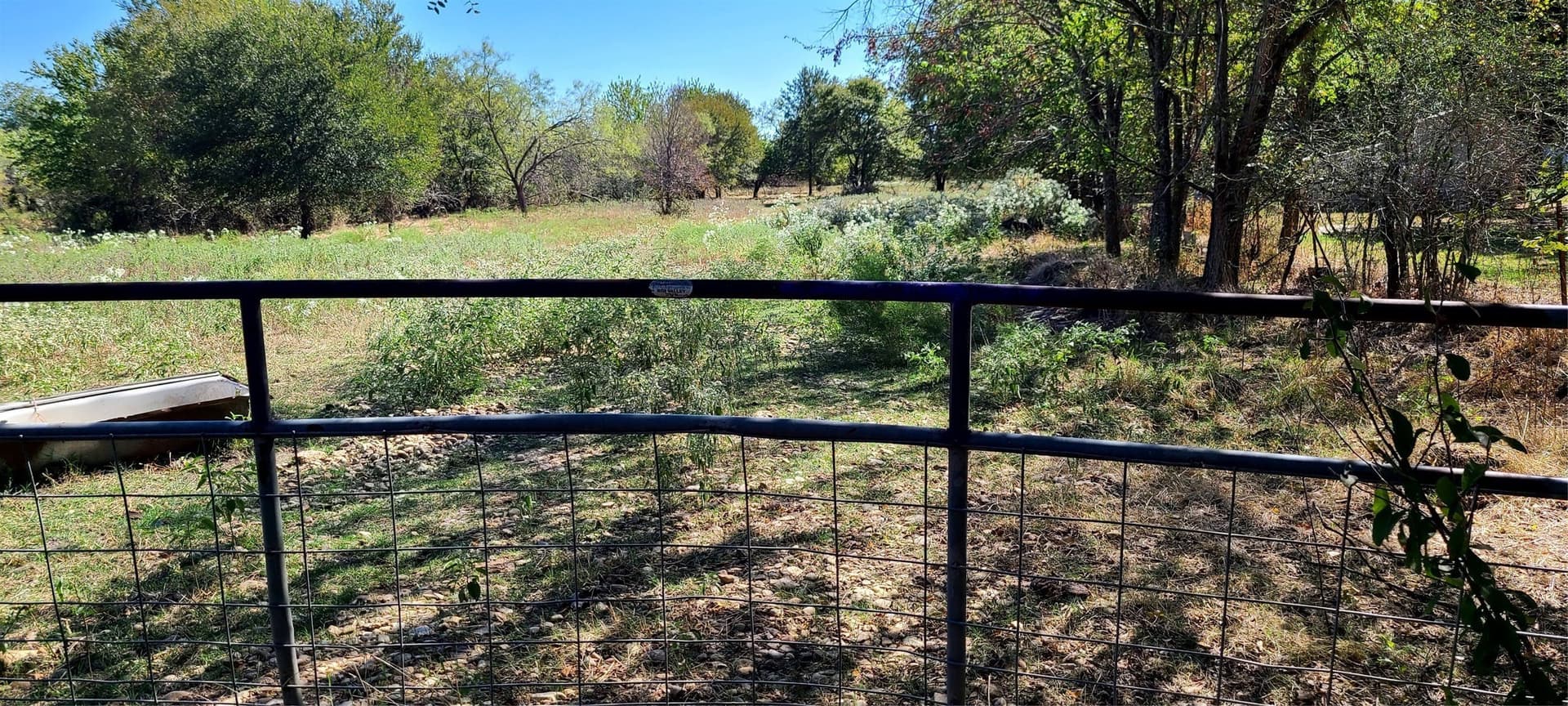 30.86 acres in Kaufman County - photo 6