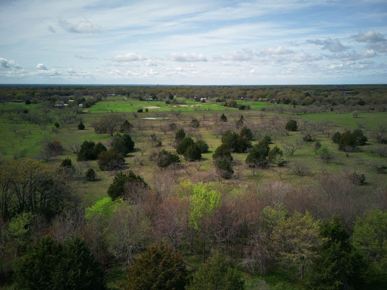 30.86 acres in Kaufman County - photo 17