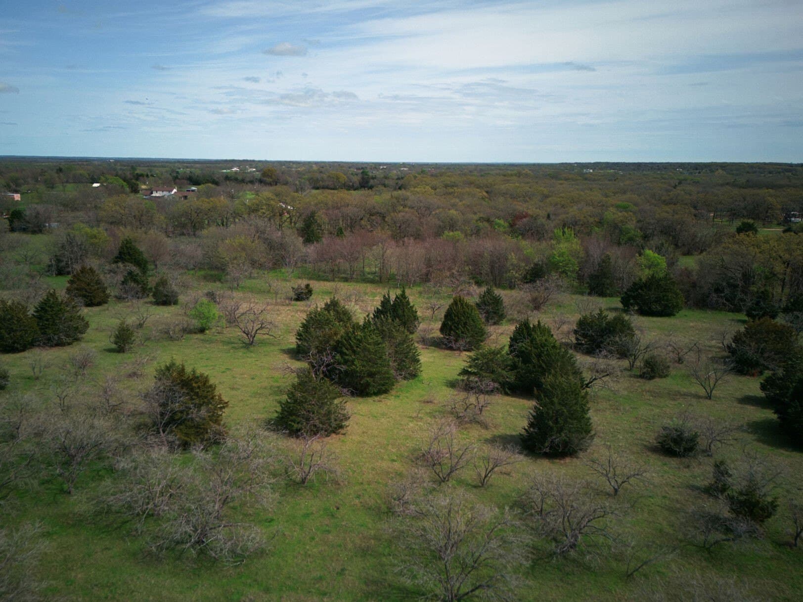 30.86 acres in Kaufman County - photo 33