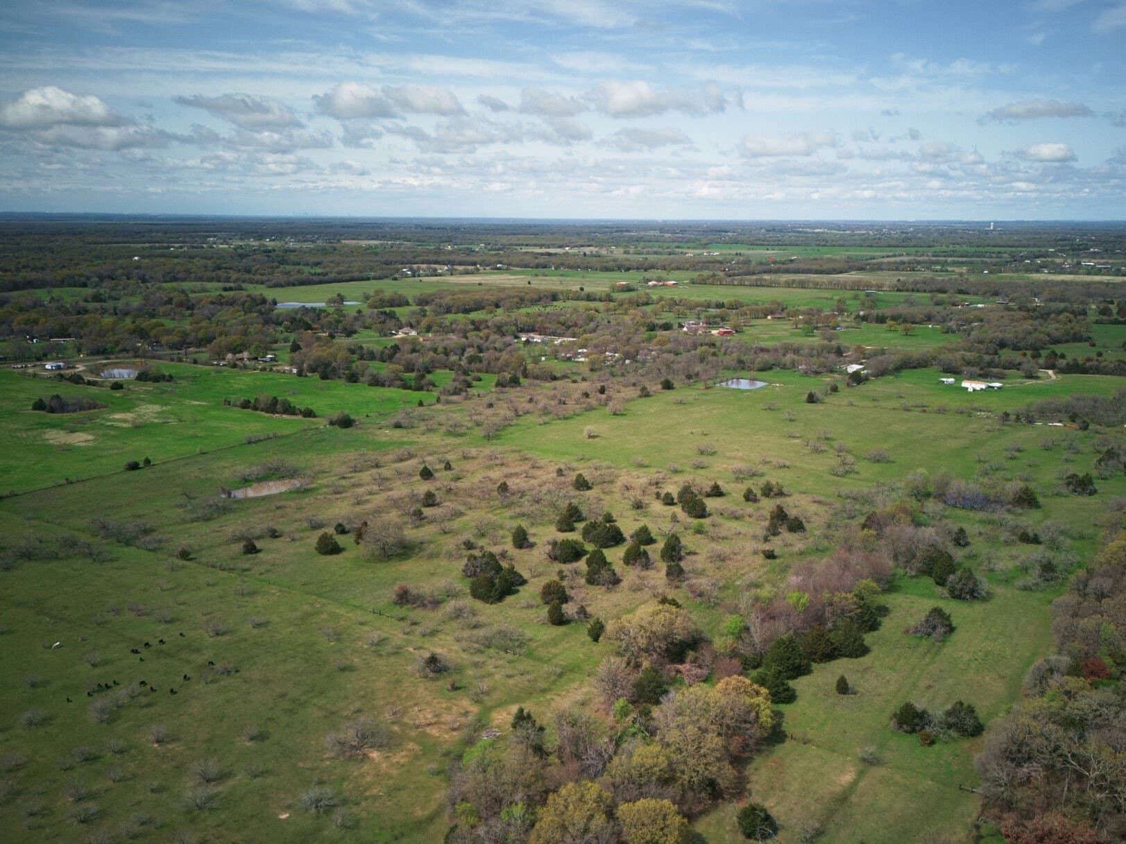 30.86 acres in Kaufman County - photo 2