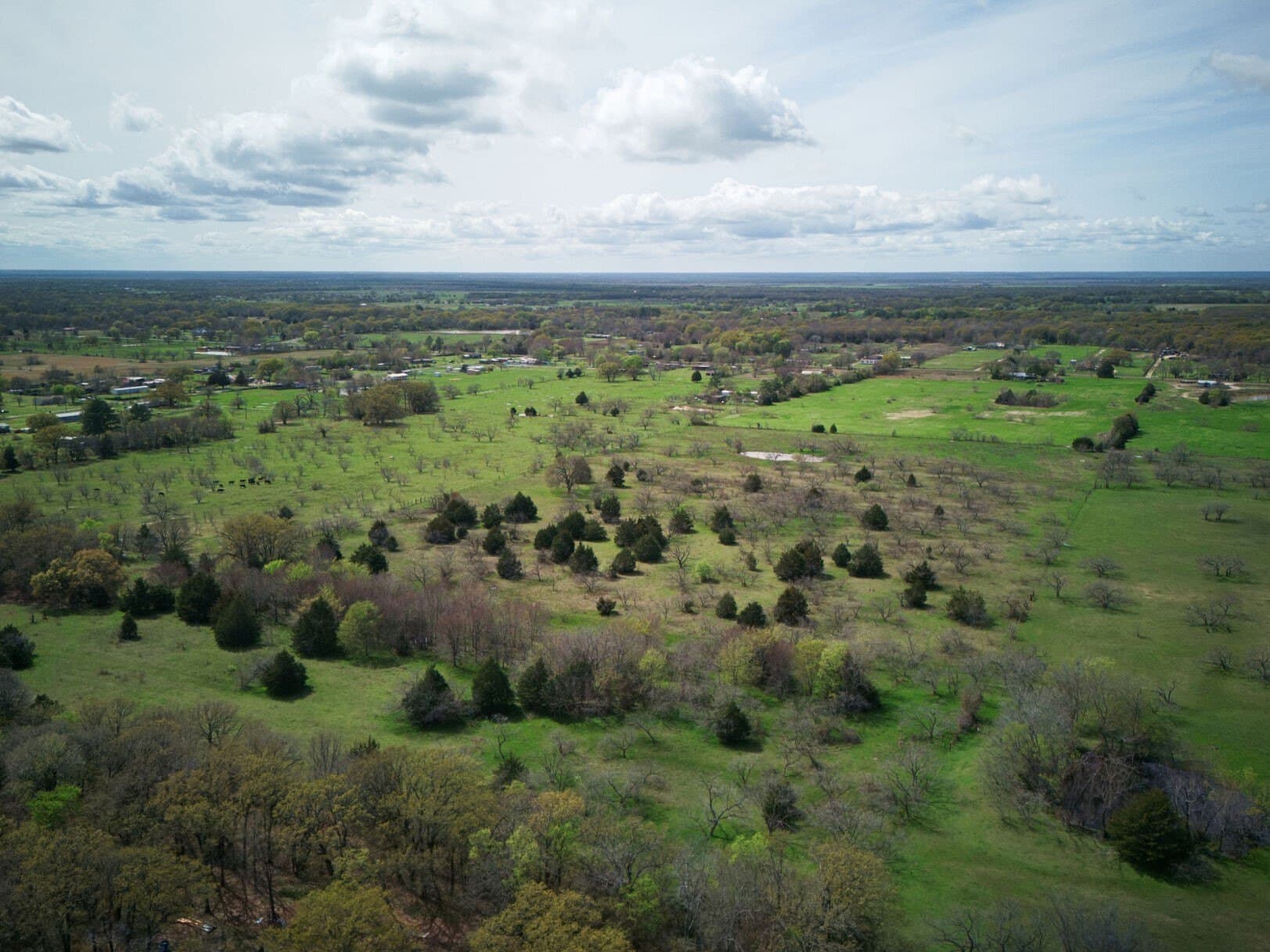 30.86 acres in Kaufman County - photo 19