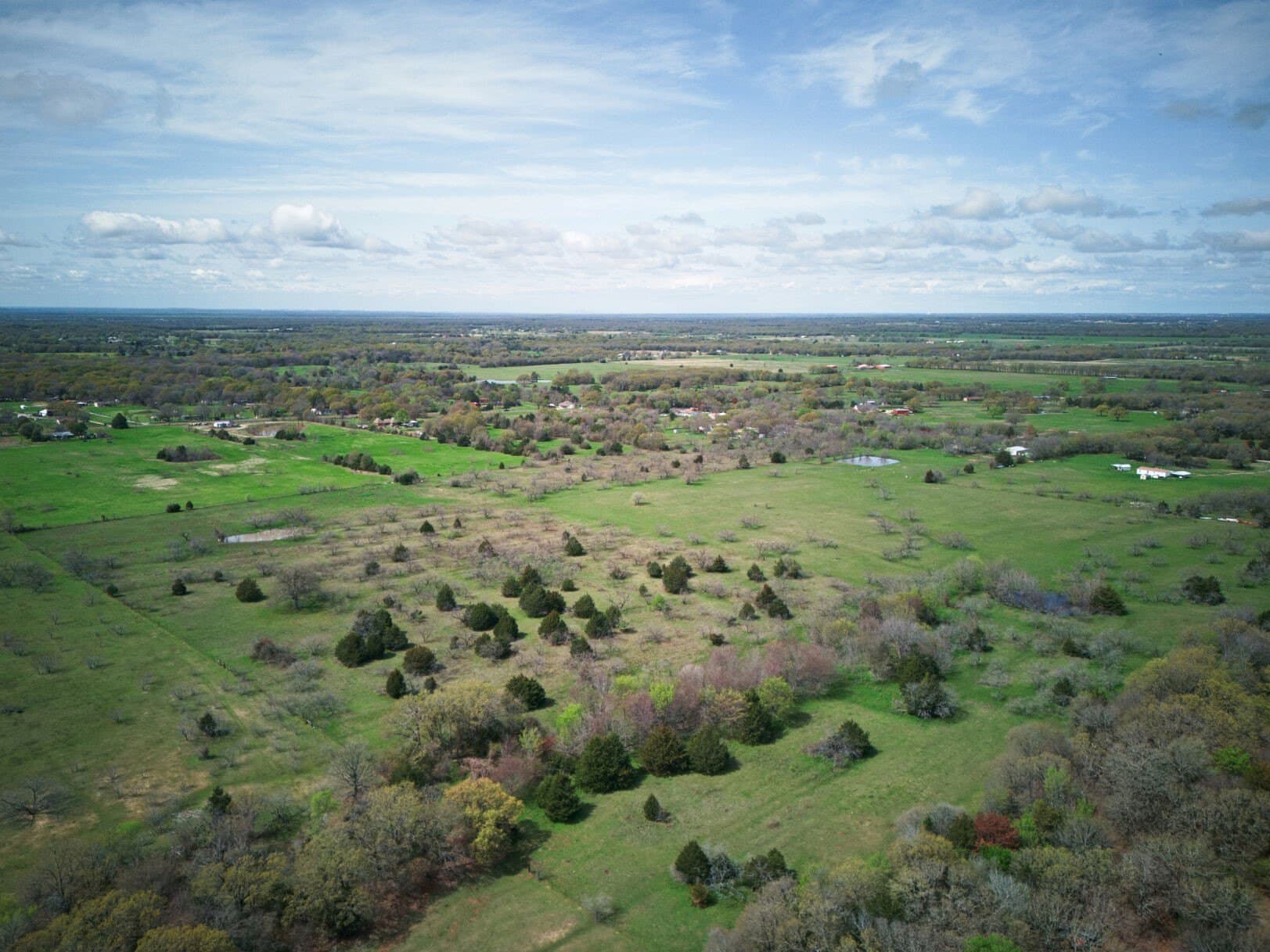 30.86 acres in Kaufman County - photo 26