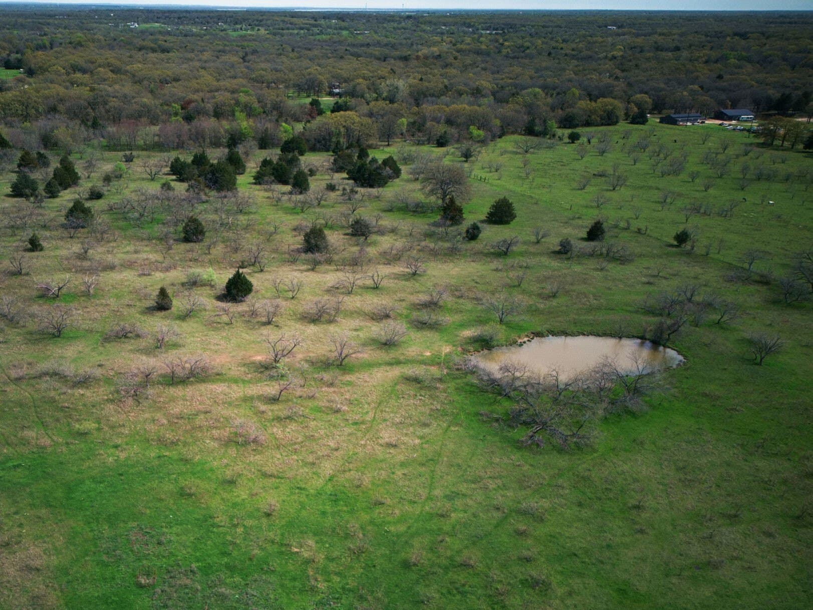 30.86 acres in Kaufman County - photo 25