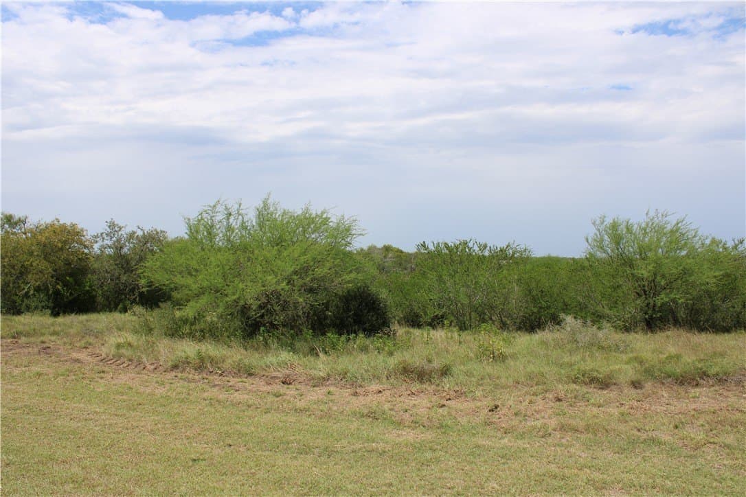 1.68 acres in Live Oak County gallery image 2
