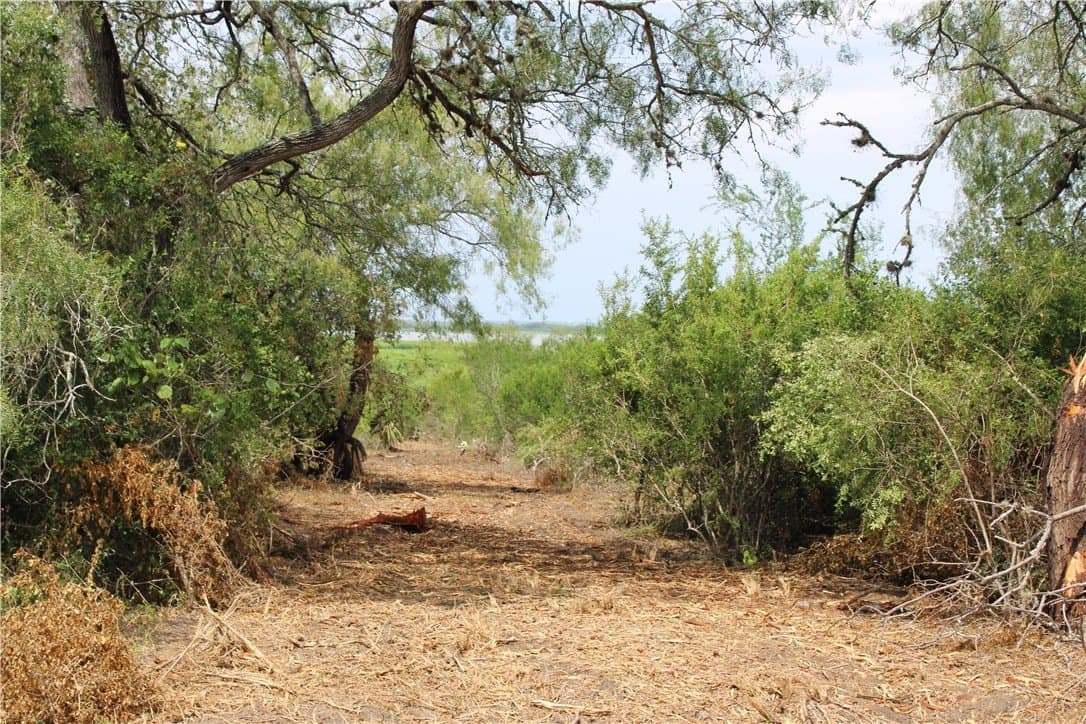 1.68 acres in Live Oak County gallery image 4
