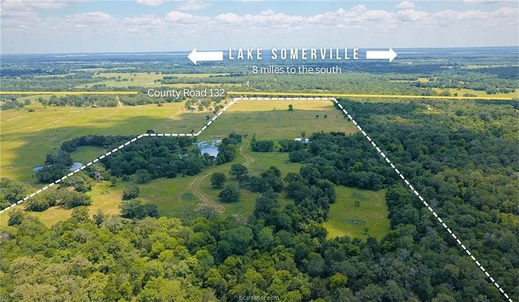 74 acres in Burleson County gallery image 2