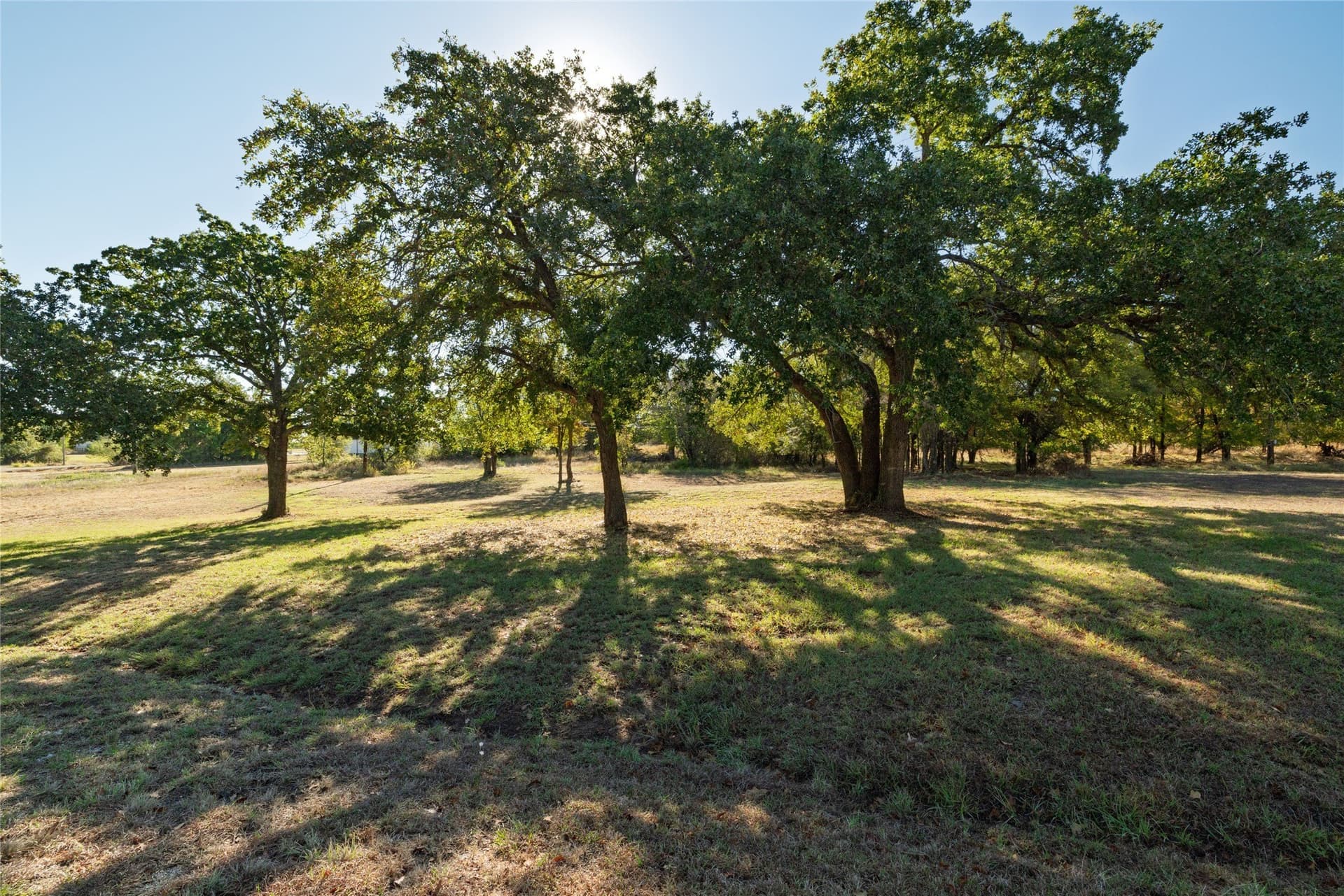 0.19 acres in Wise County - photo 8