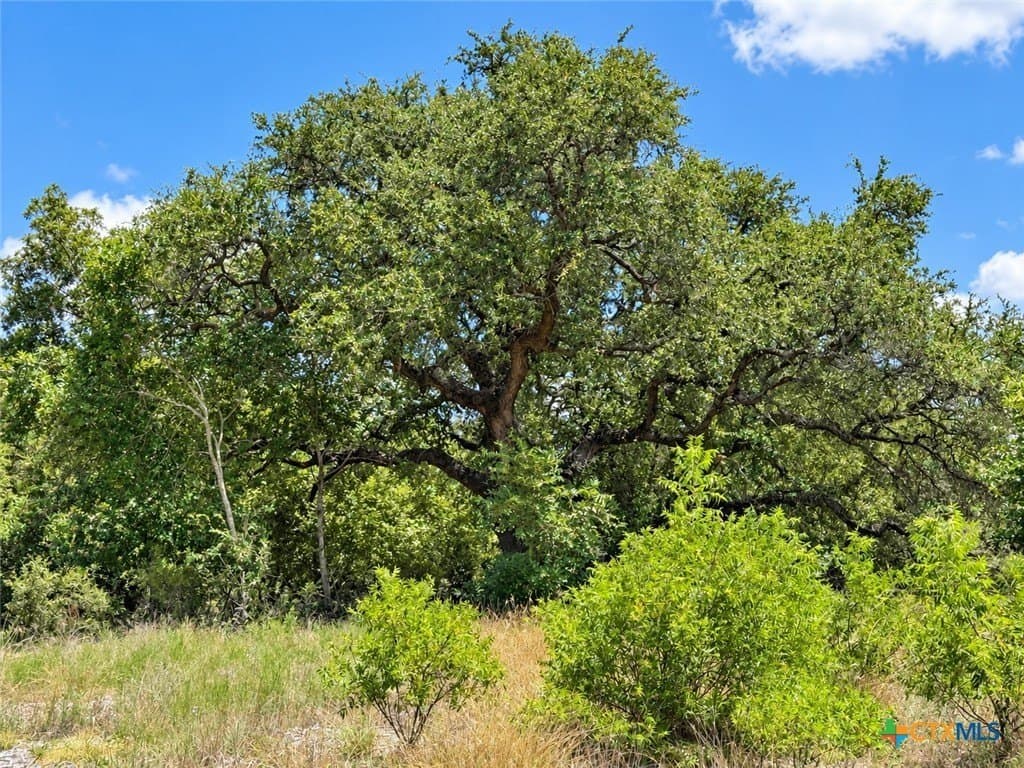 3.77 acres in Bell County - photo 11