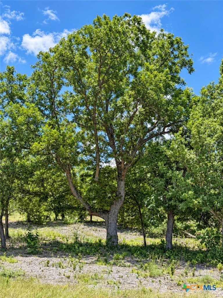 3.77 acres in Bell County - photo 9