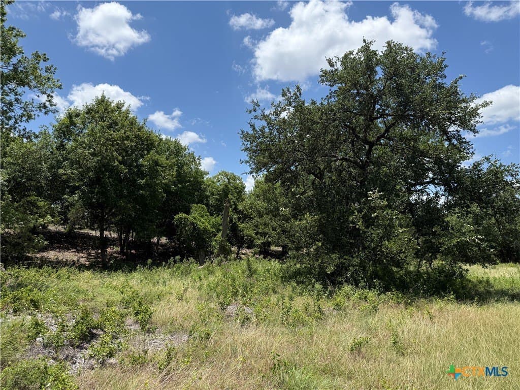 3.77 acres in Bell County - photo 9