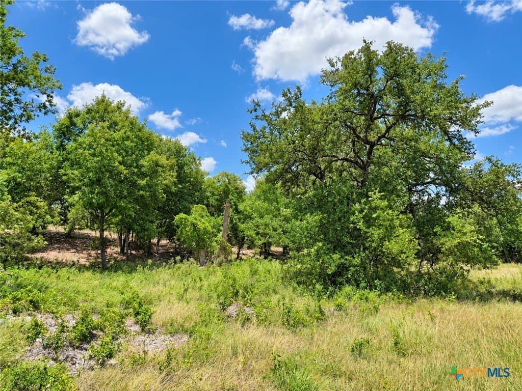 3.77 acres in Bell County - photo 8