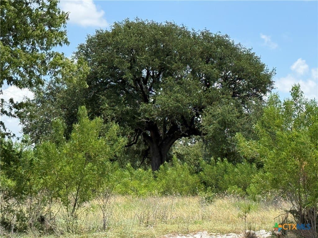 3.77 acres in Bell County - photo 6