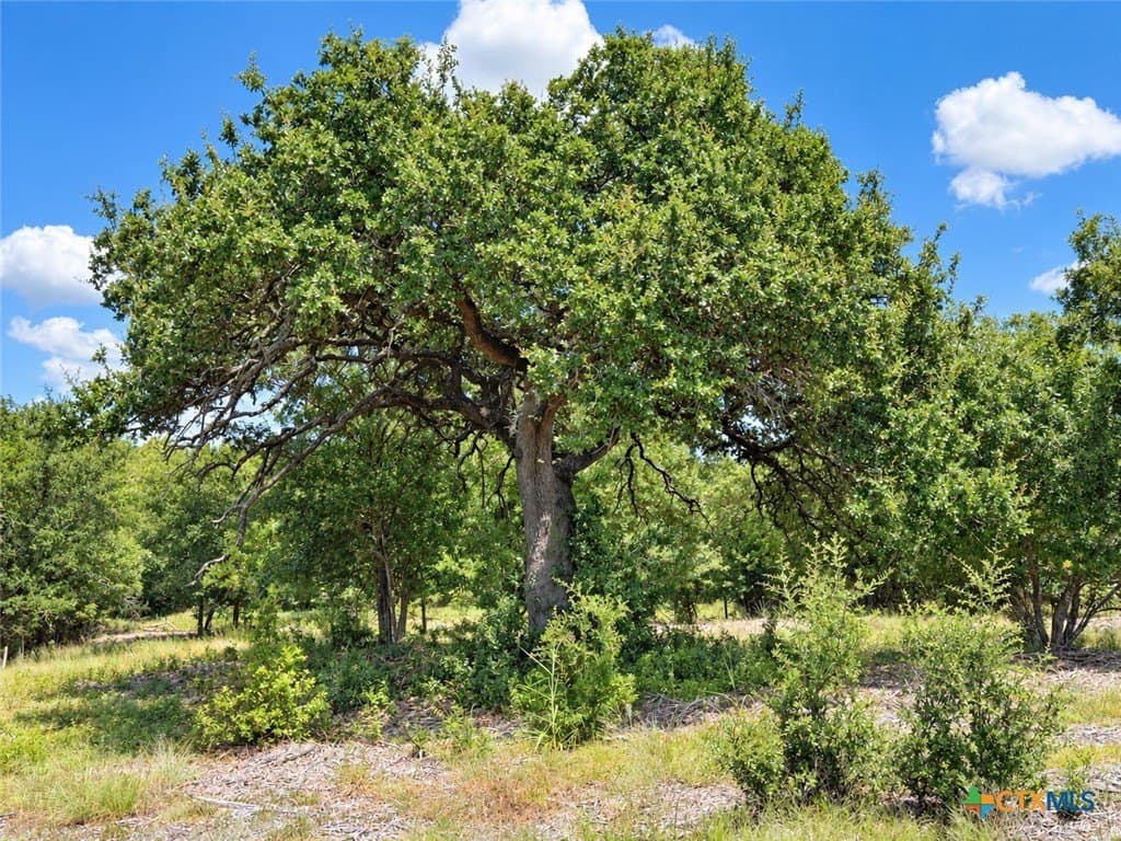 3.77 acres in Bell County - photo 6