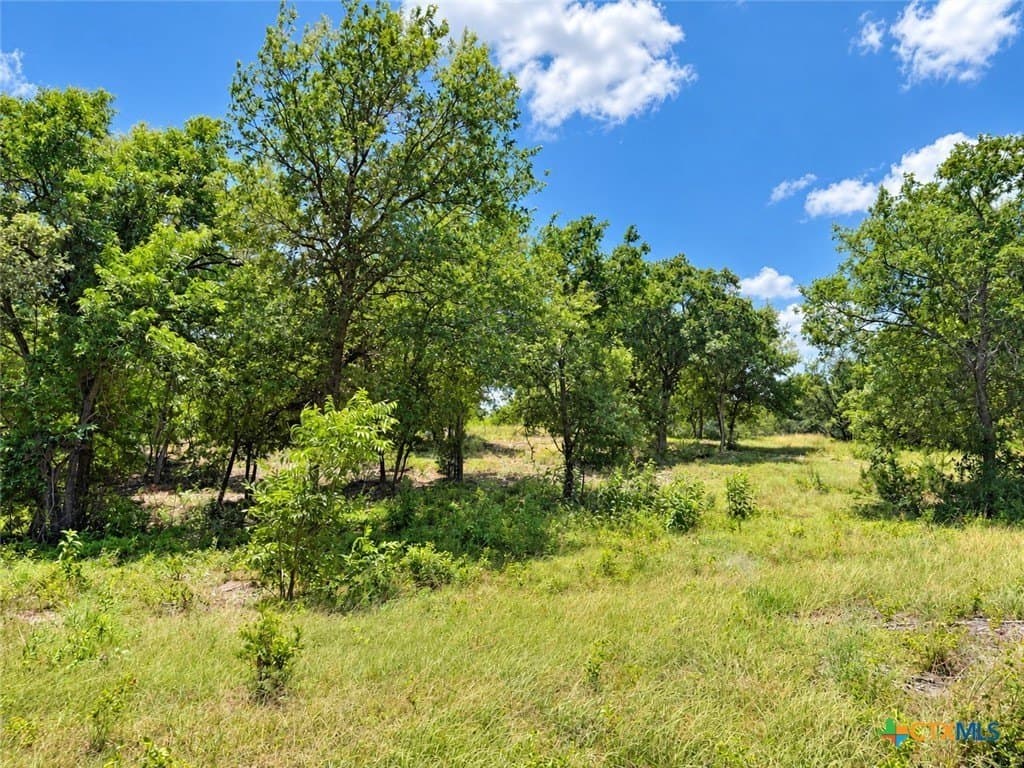 3.77 acres in Bell County - photo 7