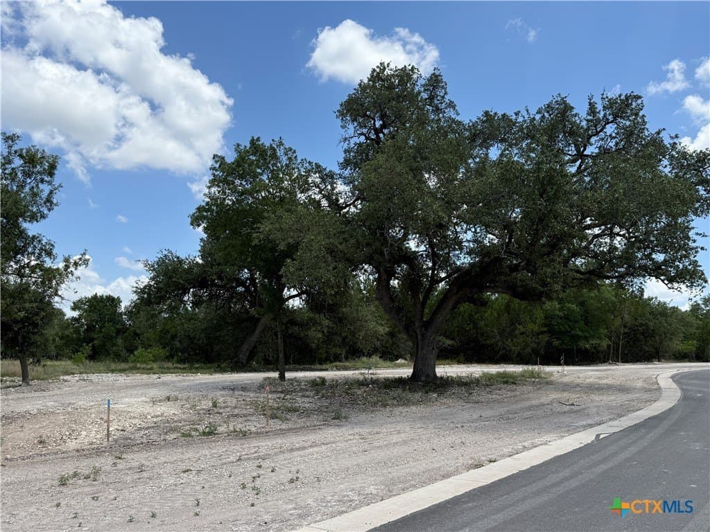 3.77 acres in Bell County gallery image 2