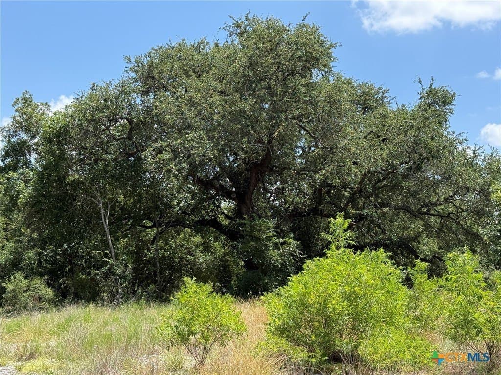 3.77 acres in Bell County gallery image 4