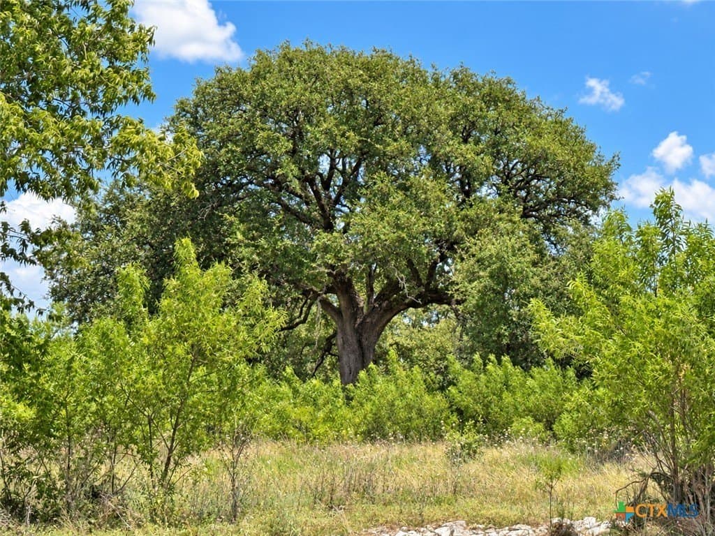 3.77 acres in Bell County - photo 5