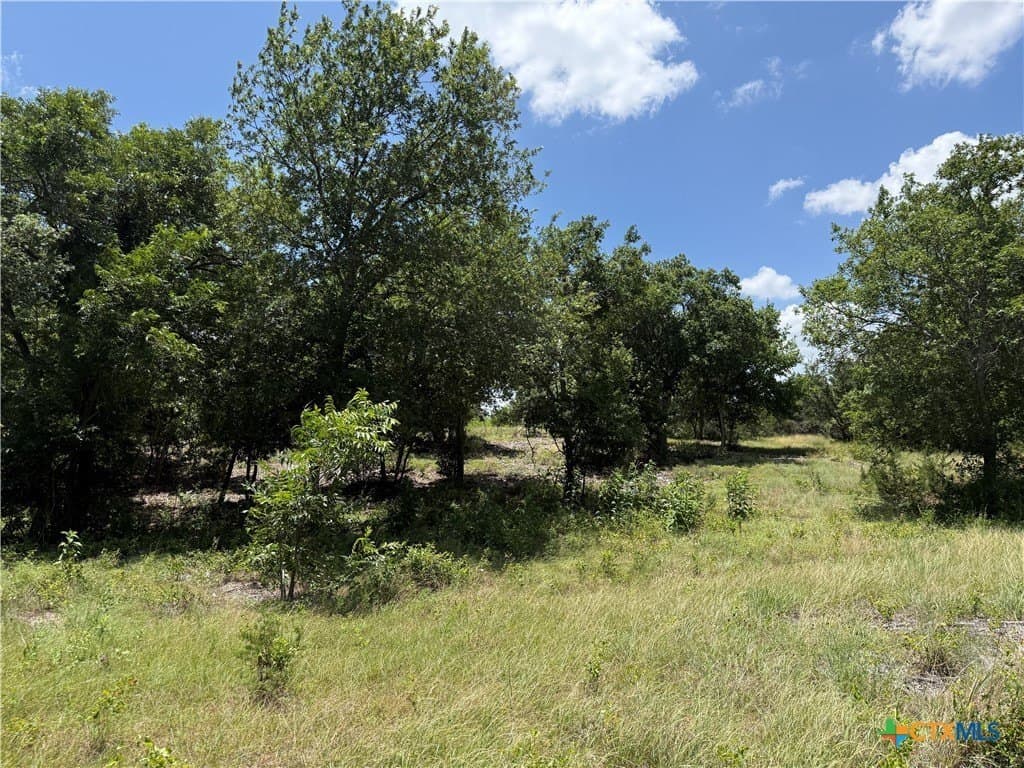 3.77 acres in Bell County - photo 8