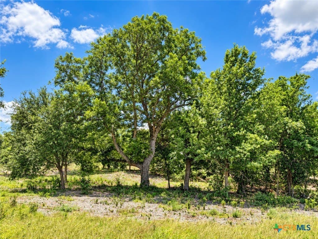 3.77 acres in Bell County - photo 10