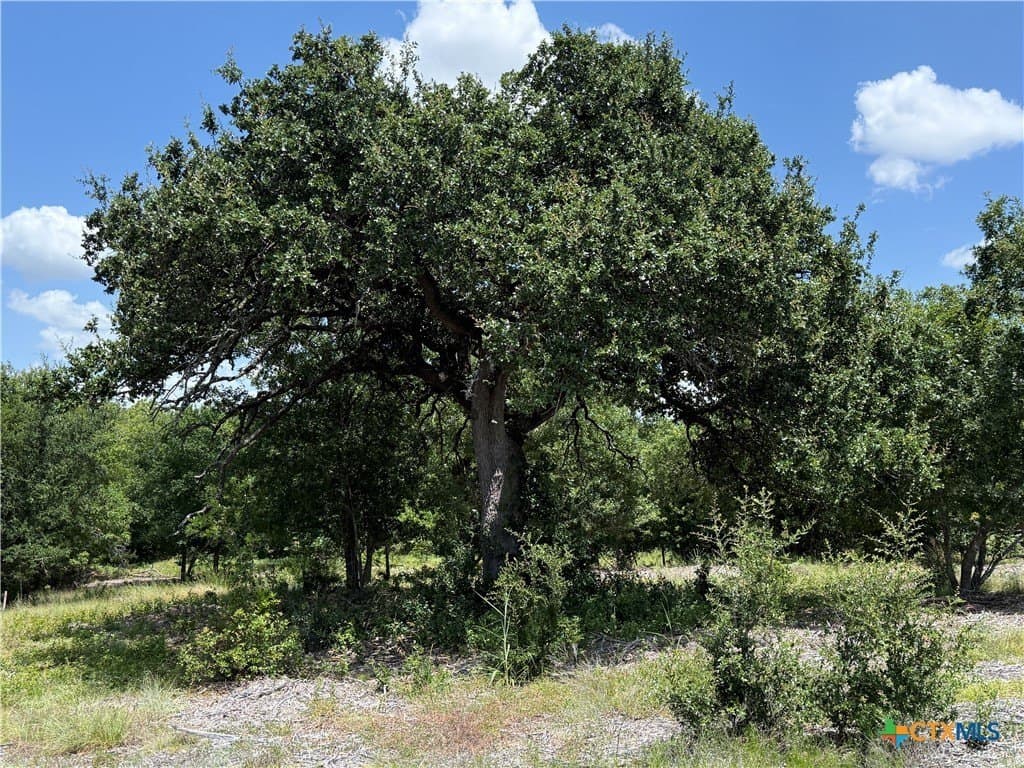 3.77 acres in Bell County - photo 7