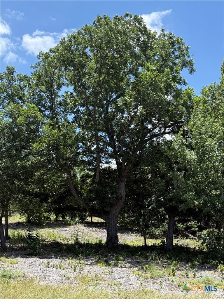 3.77 acres in Bell County - photo 10